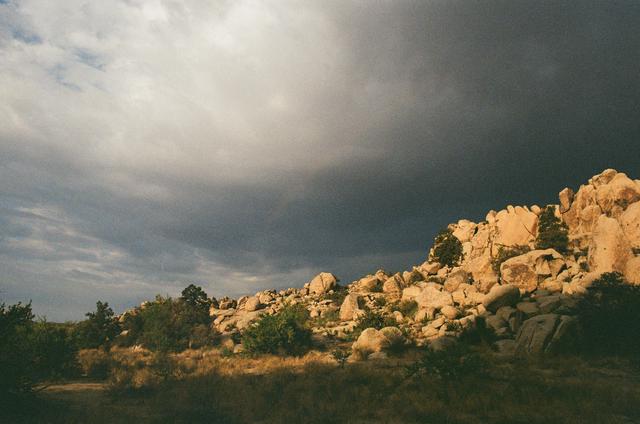 
                  
                     Shadow in the Desert <br> 
                     Canon 
                     AE-1 
                  
                  