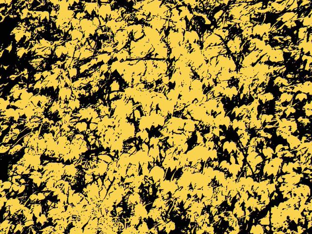 
                  
                    
                     Generalplus 
                     CBB3 
                  
                  