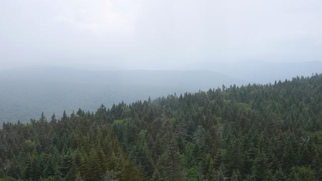 
                  
                     Catskills <br> 
                     Panasonic 
                     DMC-GH3 
                  
                  