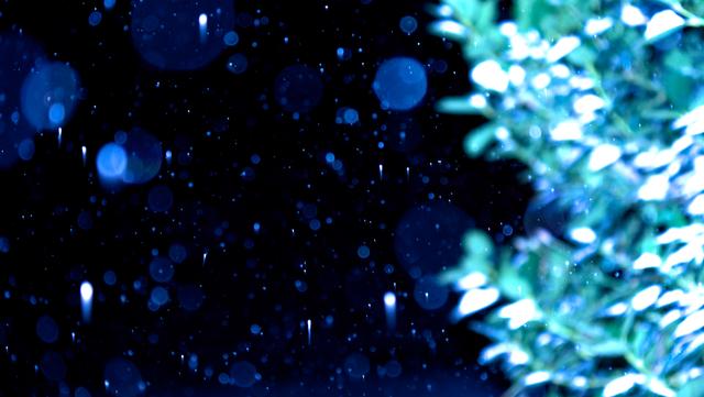 
                  
                     Snowfall <br><span style="font-size:11px"><i>Night shooting + editing experimentation</i></span> <br> 
                     Panasonic 
                     DMC-GH3 
                  
                  
