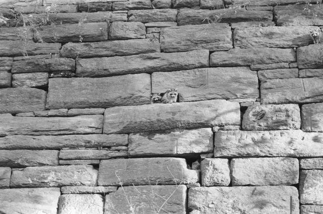 
                  
                     Saying Hello <br> 
                     NORITSU KOKI 
                     Infinity Zoom 200 
                  
                  