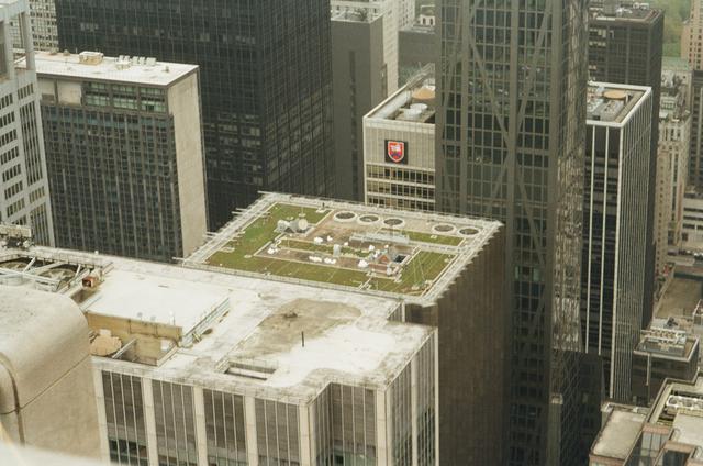 
                  
                     Top of the Rock <br> 
                     Olympus 
                     Infinity Zoom 200 
                  
                  