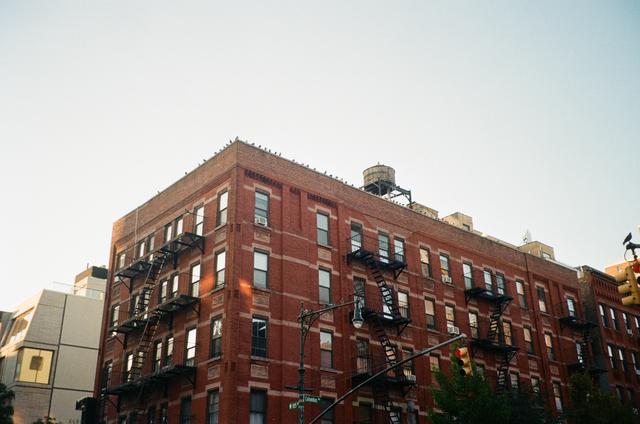 
                  
                     Pigeons <br> 
                     Olympus 
                     Infinity Zoom 200 
                  
                  